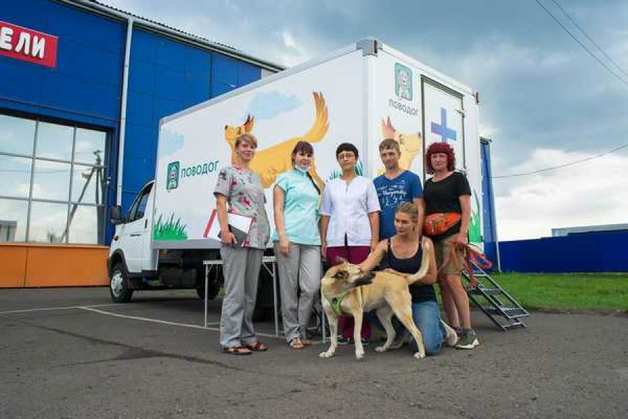 Фото: фонд «Вольное дело»