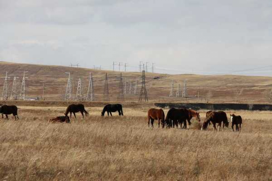 Фото: пресс-служба МЭС Сибири