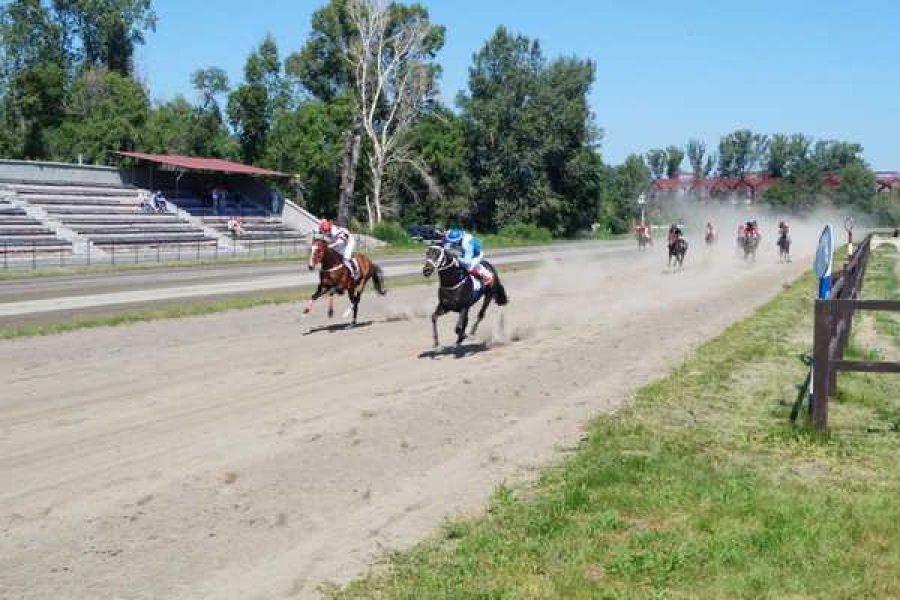 Фото: Минсельхоз РХ