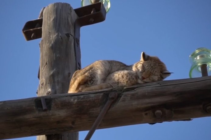 Фото Минприроды Хакасии