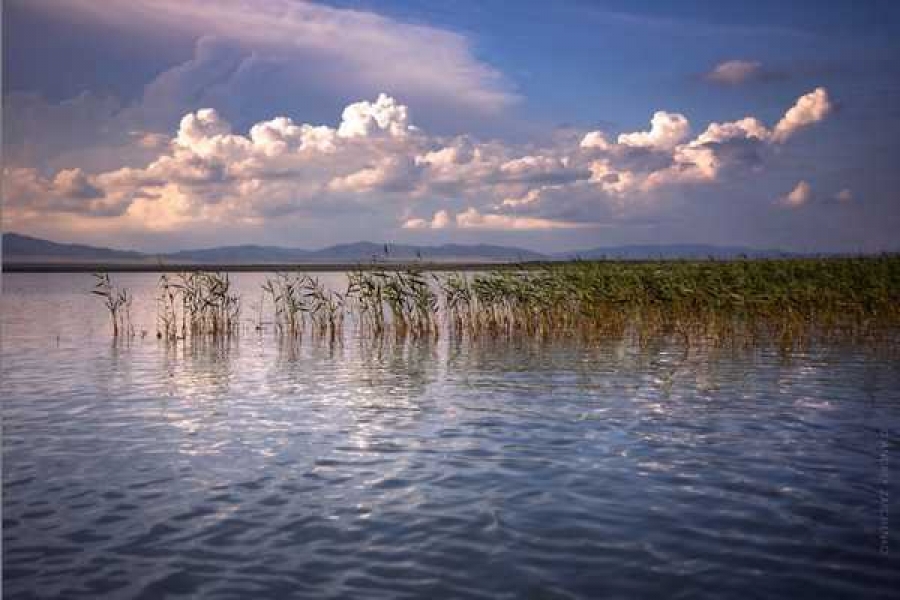 Фото: Андрей Зайченко