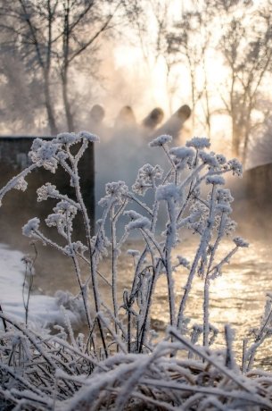 Фото Андрея Зайченко