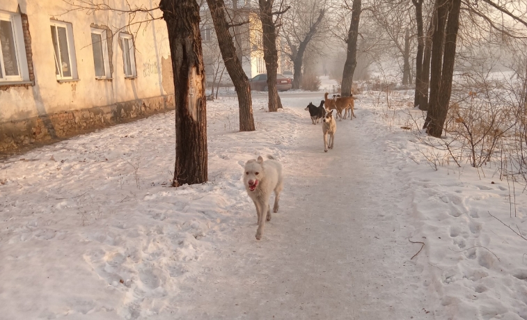 Фото Любови Мельничковой