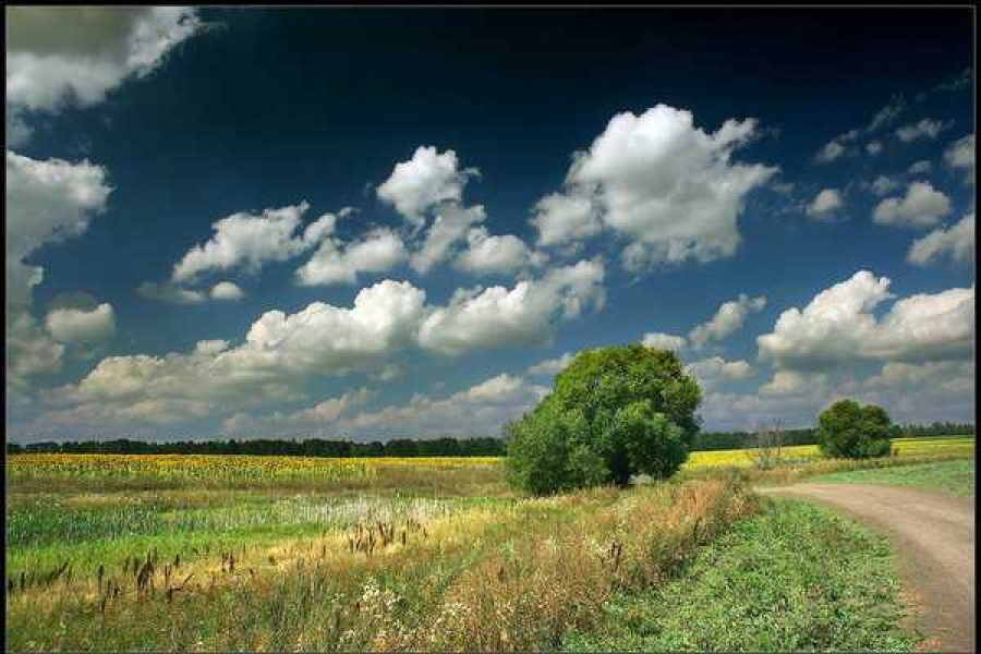 Фото: Алексей Строганов