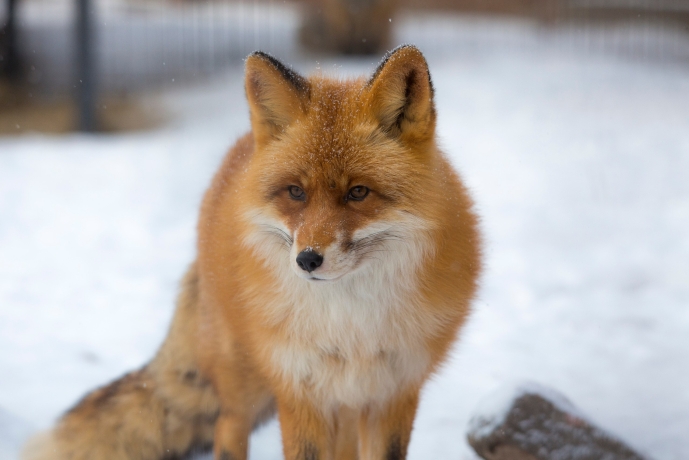 Фото: Минприроды Хакасии