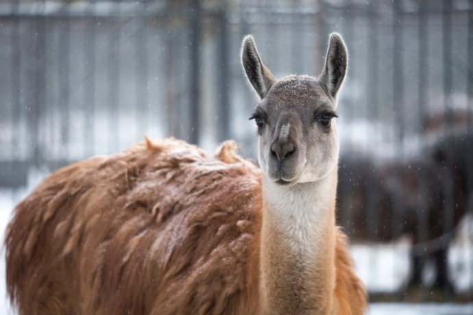 Фото: Минприроды Хакасии