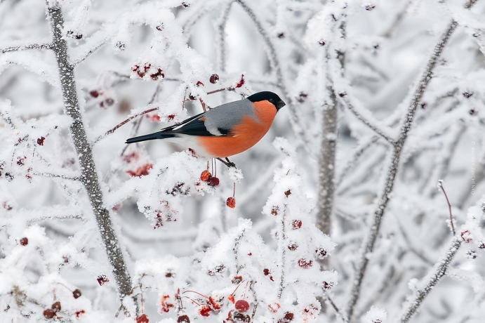 Фото: Андрей Зайченко
