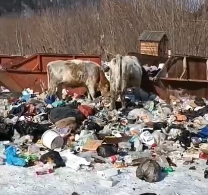 Фото: Вячеслав Шушеначев