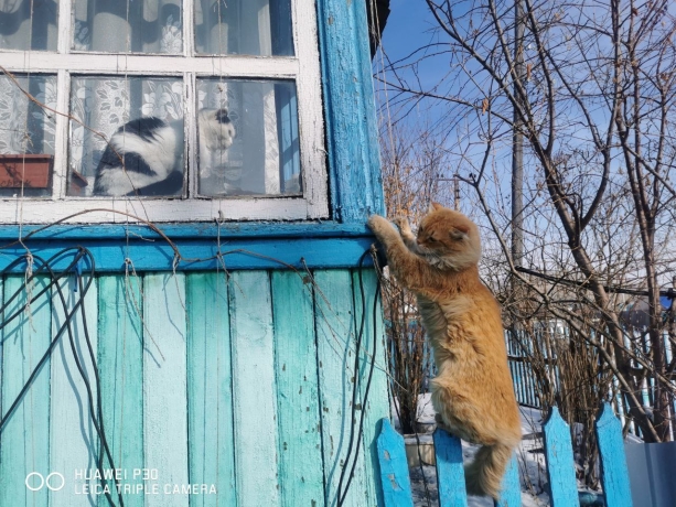 Фото: АДИ19
