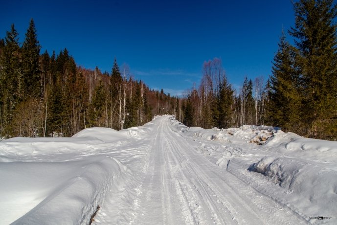 Фото: Александр Семенов