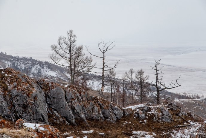 Фото: Александр Семенов