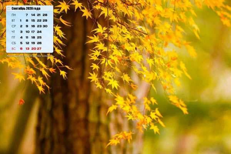  Фото с сайта calendar.volego.ru