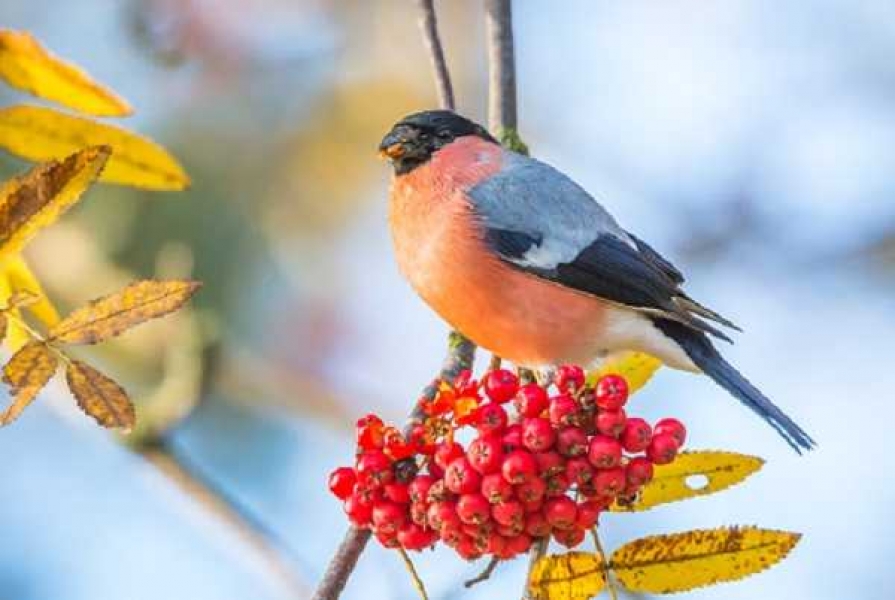 Фото: media.istockphoto.com