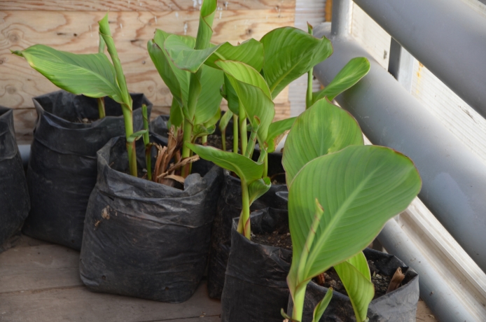 Фото: Администрация Абакана