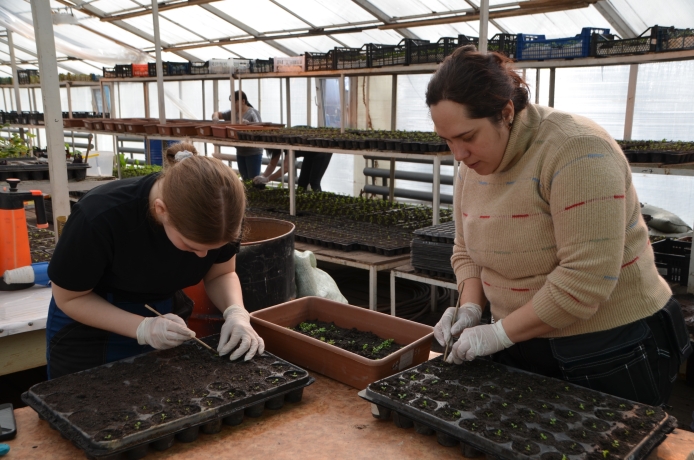 Фото: Администрация Абакана