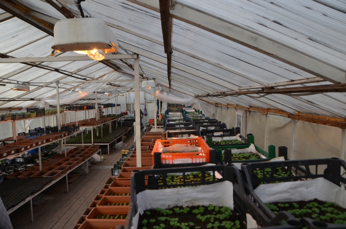 Фото: Администрация Абакана