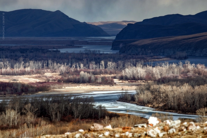 Фото: Андрей Зайченко