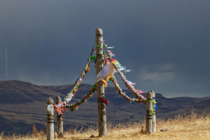 Фото: Андрей Зайченко