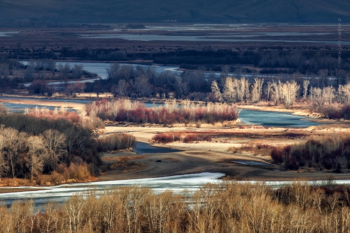 Фото: Андрей Зайченко