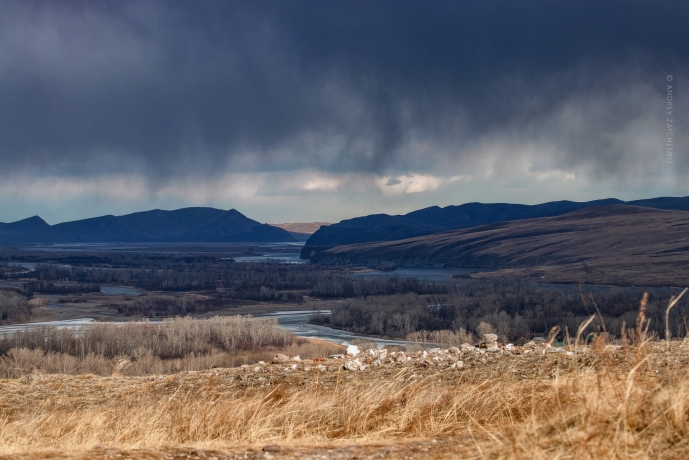 Фото: Андрей Зайченко
