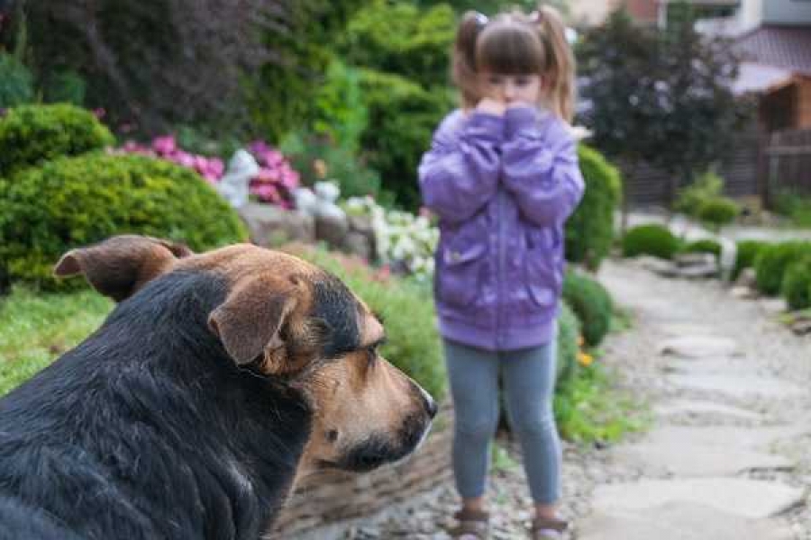 Фото: static.life.ru