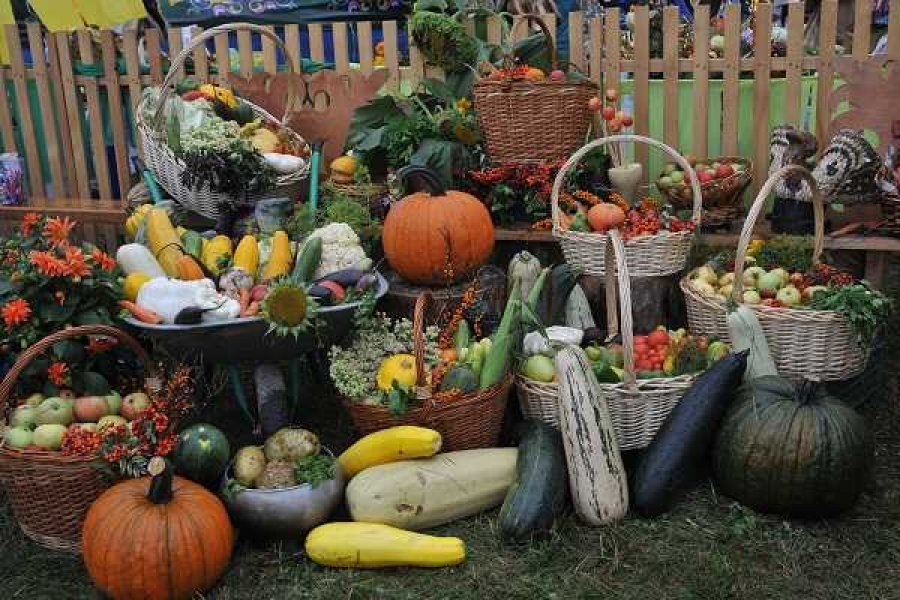 Фото: Центр культуры и народного творчества им. С.П. Кадышева