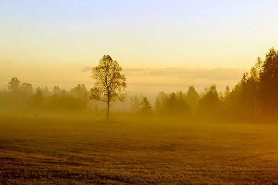 Фото: pixabay.com