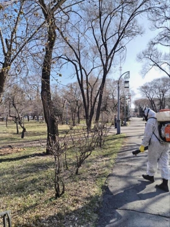 Фото: Администрация Абакана