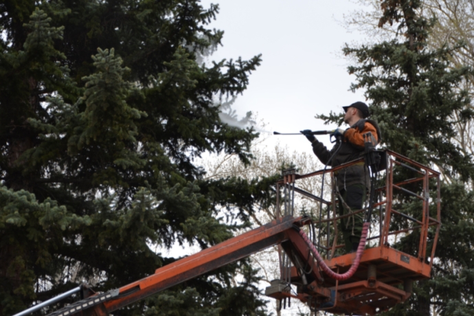 Фото: Администрация Абакана