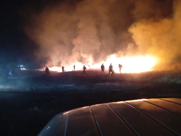 Фото: Минлес Хакасии