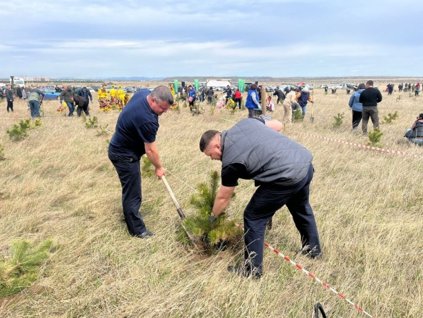 Фото: УФССП по Хакасии
