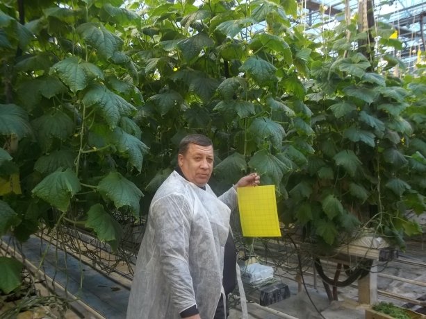 Фото: пресс-служба управления Россельхознадзора по Хакасии и Тыве
