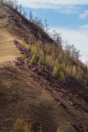 Фото: Юлия Горбачёва