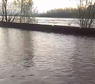 Фото: Среда 24