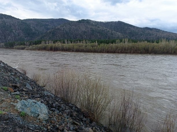 Фото: Администрация Абазы