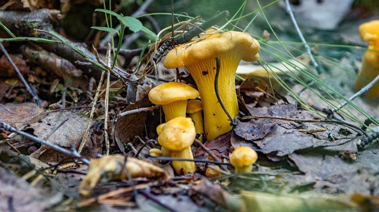 Фото: ИЗВЕСТИЯ/Константин Кокошкин 