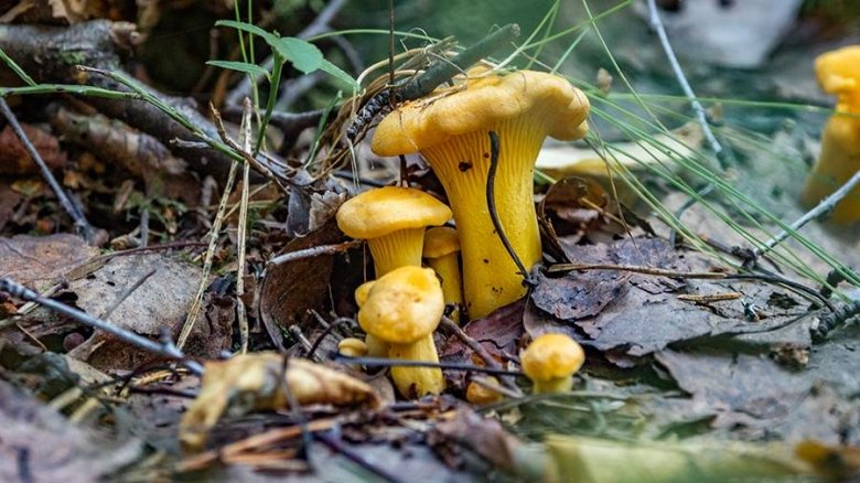 Фото: ИЗВЕСТИЯ/Константин Кокошкин 