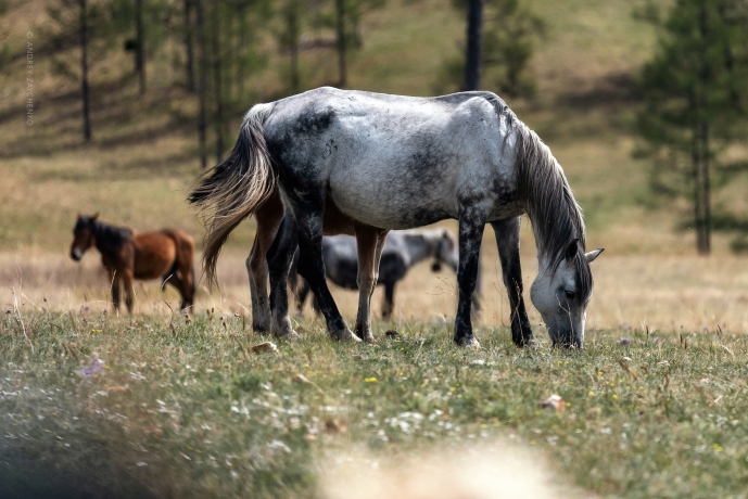 Фото: Андрей Зайченко