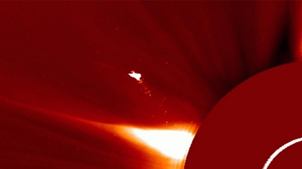Птица над Солнцем.Telegram/Космическая погода — XRAS.RU /lpixras; 5-tv.ru