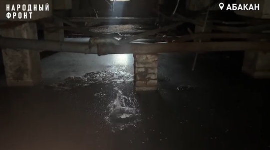 Фото: Народный фронт