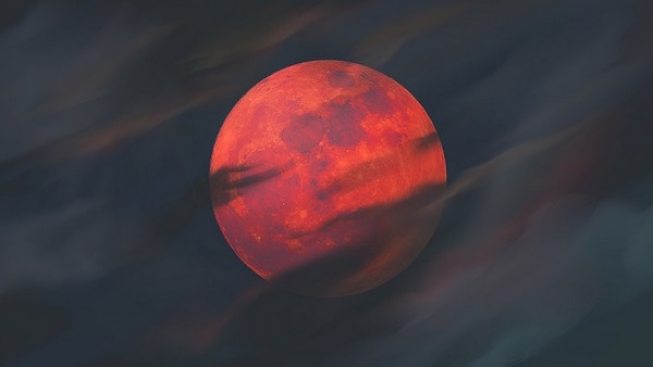Фото: shutterstock