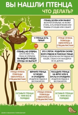 Фото: Минприроды Хакасии