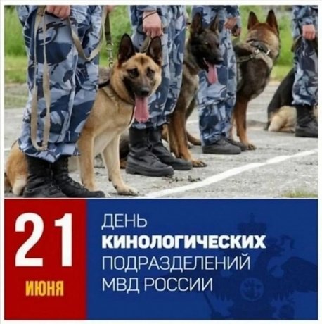 Фото: МВД по Республике Хакасия 