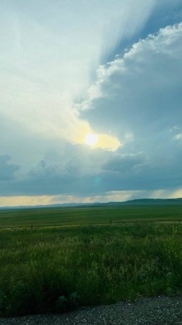 Фото: из тг-канала Сергея Сокола