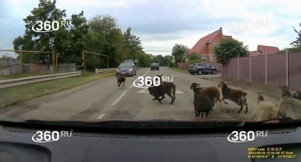 Фото: 360.ру