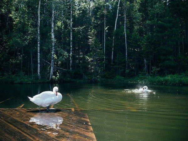Фото: Анна Арапова