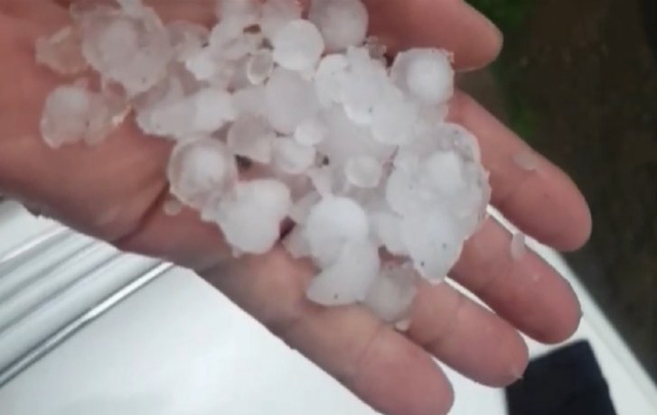 Фото: стоп-кадр видео Алексея Багаева