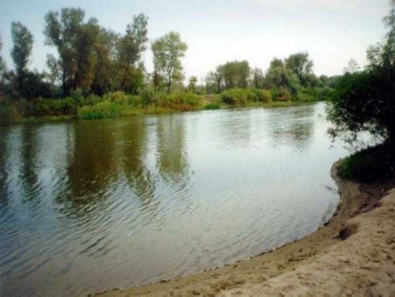 Фото: Следственный комитет по Красноярскому краю и Хакасии