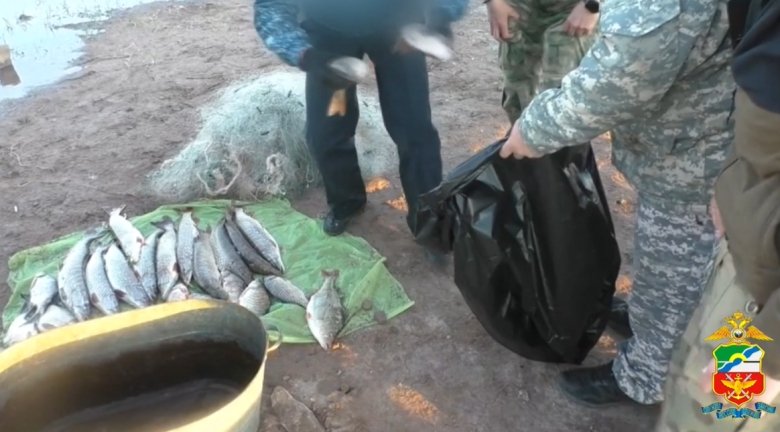 Стоп-кадр видео Абаканского ЛО МВД