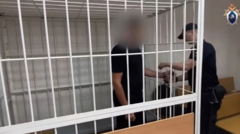 За убийство детского врача мужчине грозит до 15 лет лишения свободы. Фото: стоп-кадр видео СК